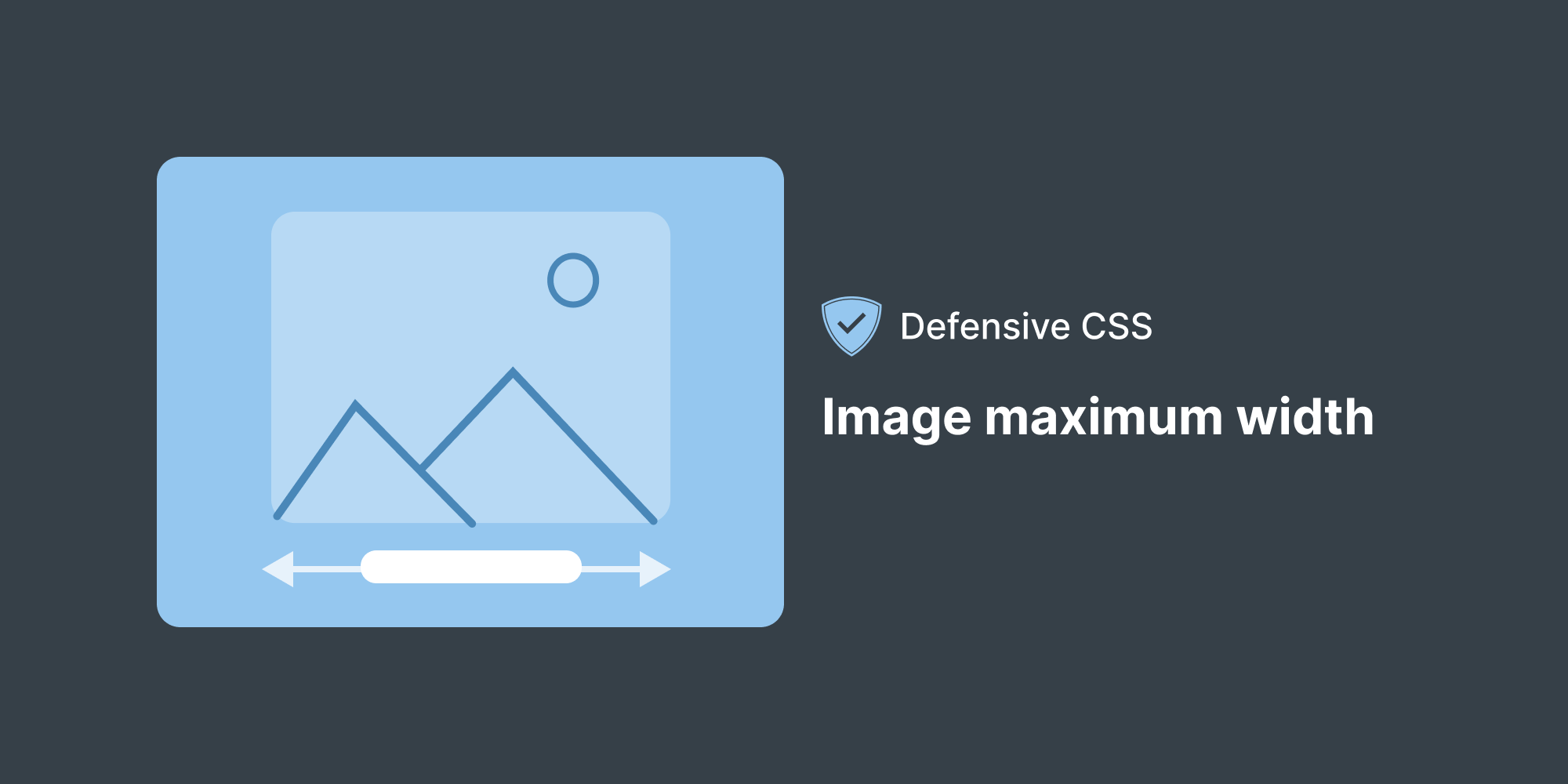 Defensive CSS Image Maximum Width